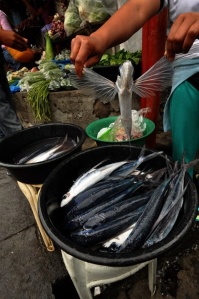 Taken at Batanes Public Market (April 2011)